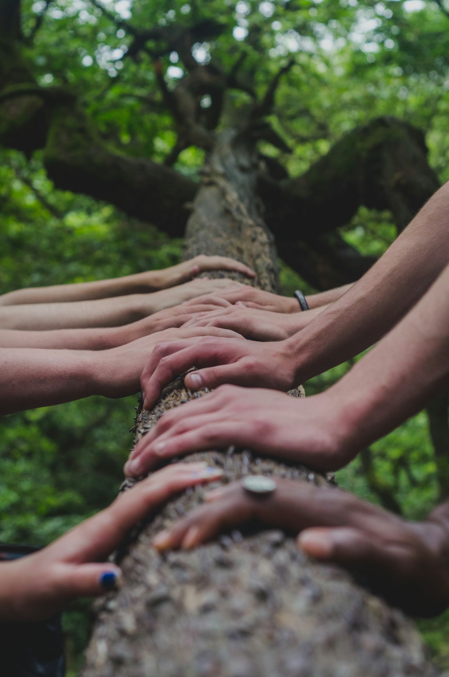 Transforming Lives with the Kingdom’s Digital Message
